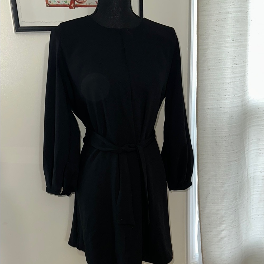 Zara Black Sheath Dress with Bishop Sleeves
